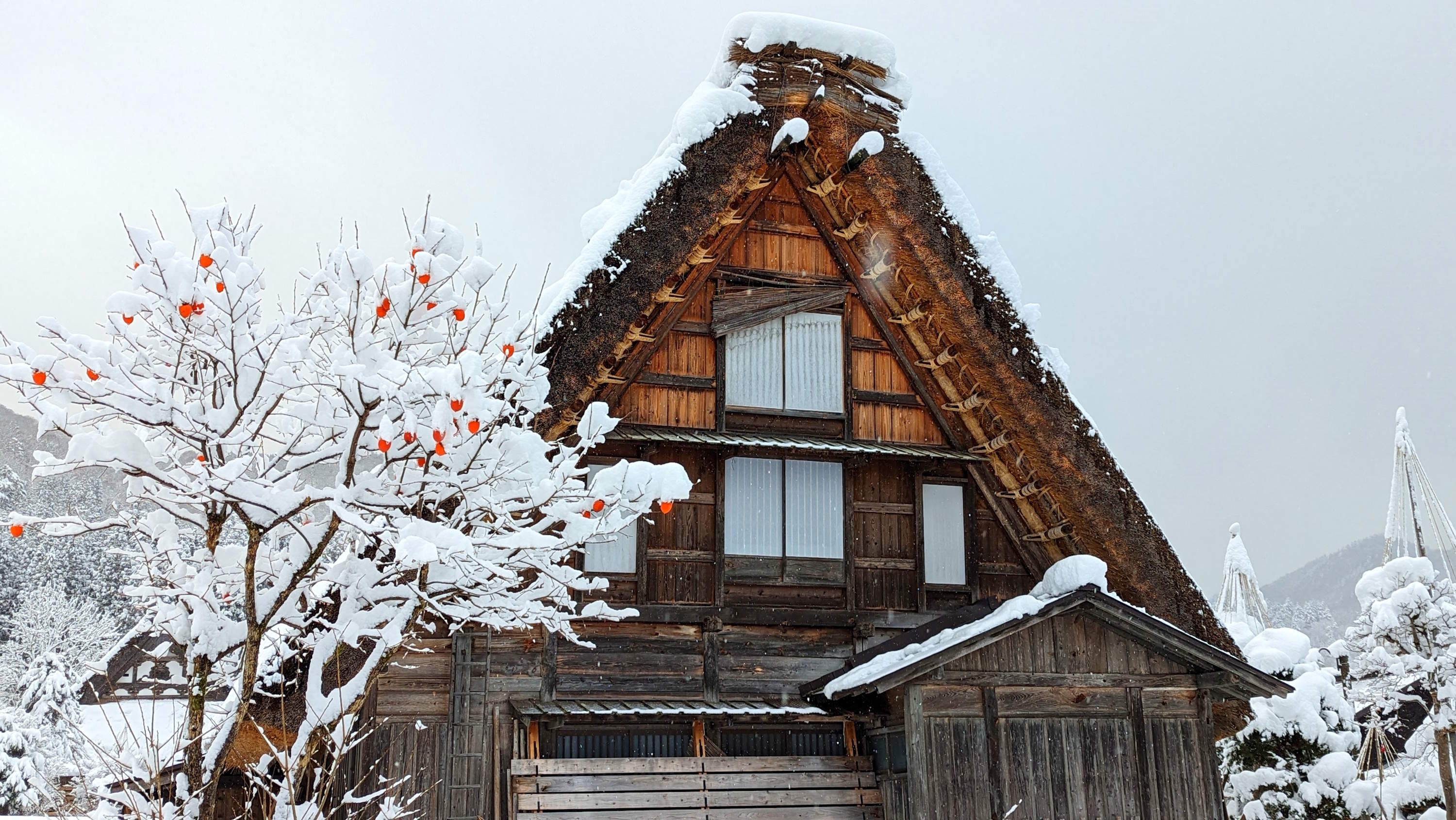 白川郷フェス FINAL2 限定CD2枚 あの夏の日の光 promise 晩夏の白川郷 ~ Photo ~ Shirakawa-go village in late summer